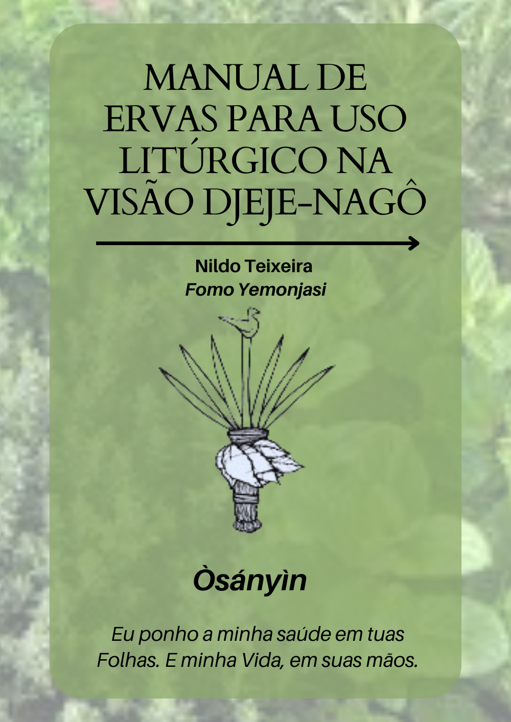 capa livro Morto Vivo de Cristian dos Santos e Augusto Figliaggi e Elaine Guarani