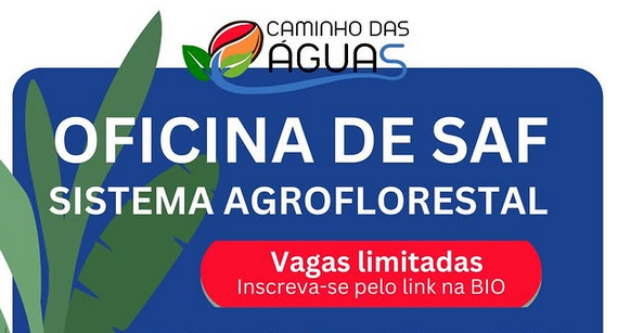 Oficina ‘Sistema Agroflorestal’